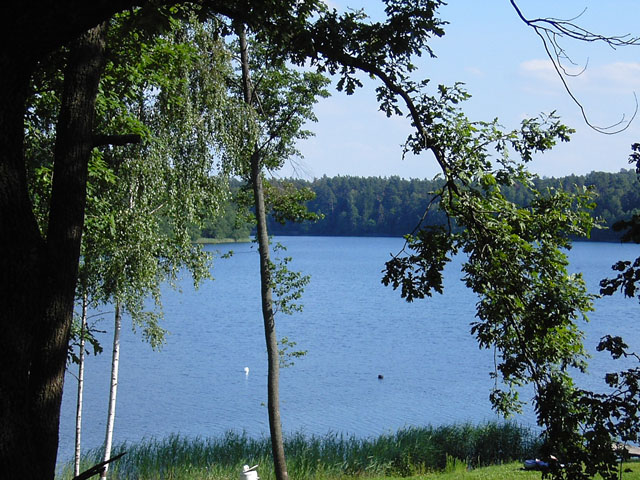KIF_0779