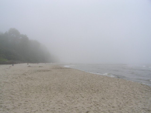 zdjecie012.jpg
